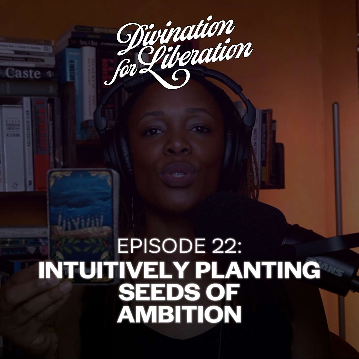 Intuitively Planting Seeds of Ambition episode artwork