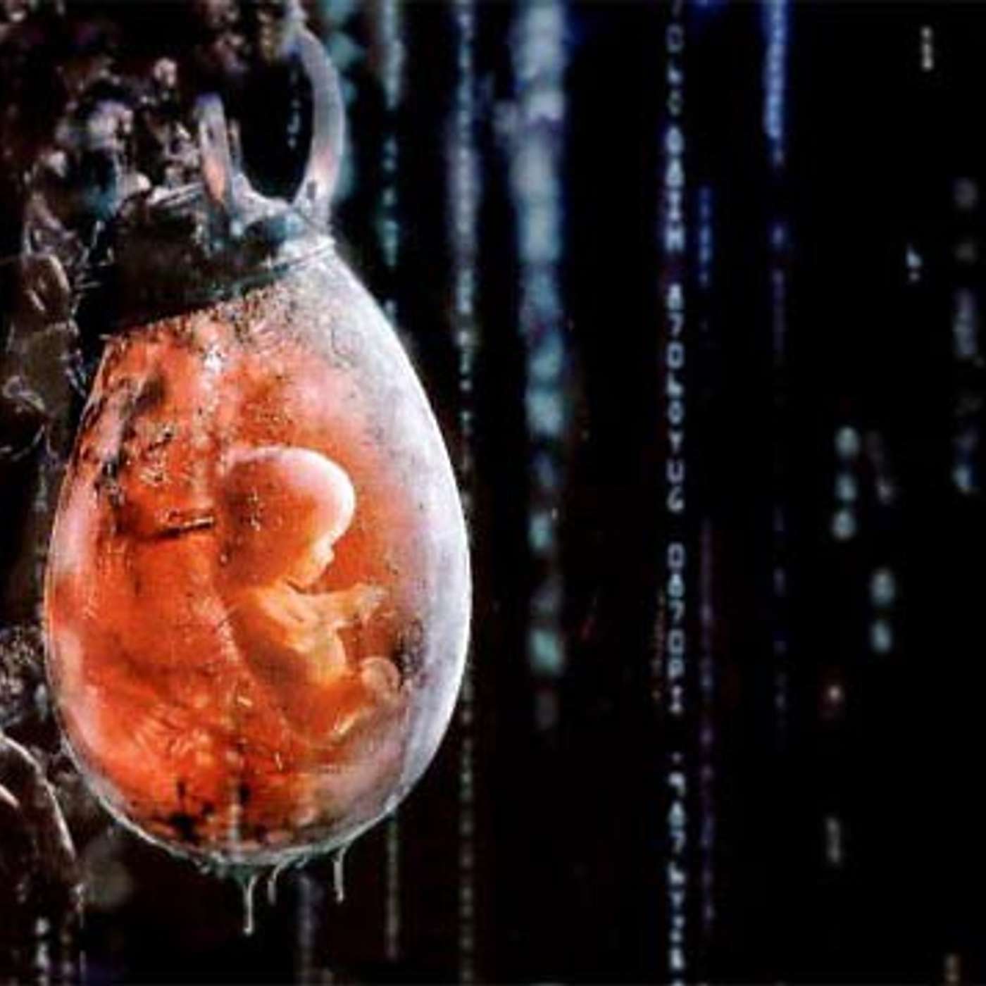 Decoding the Qualities of a Great VC