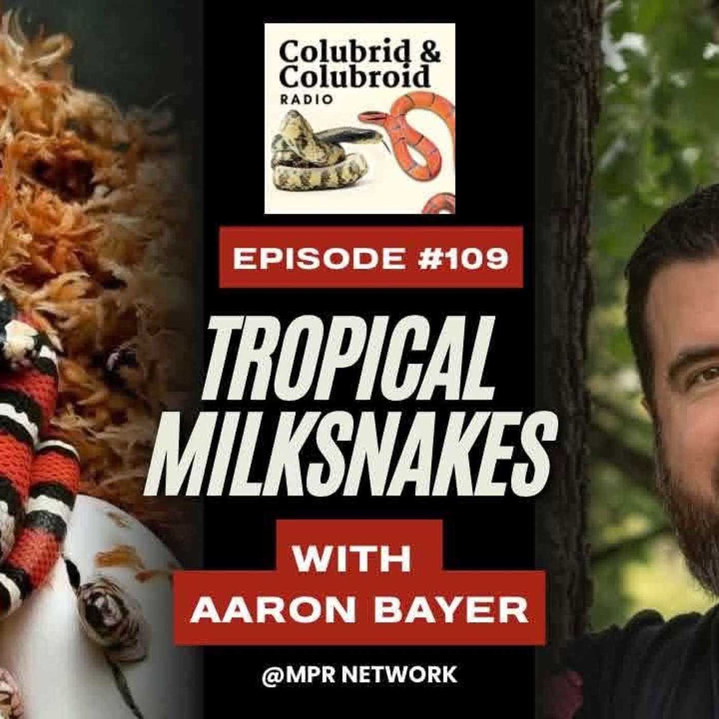 Episode Logo