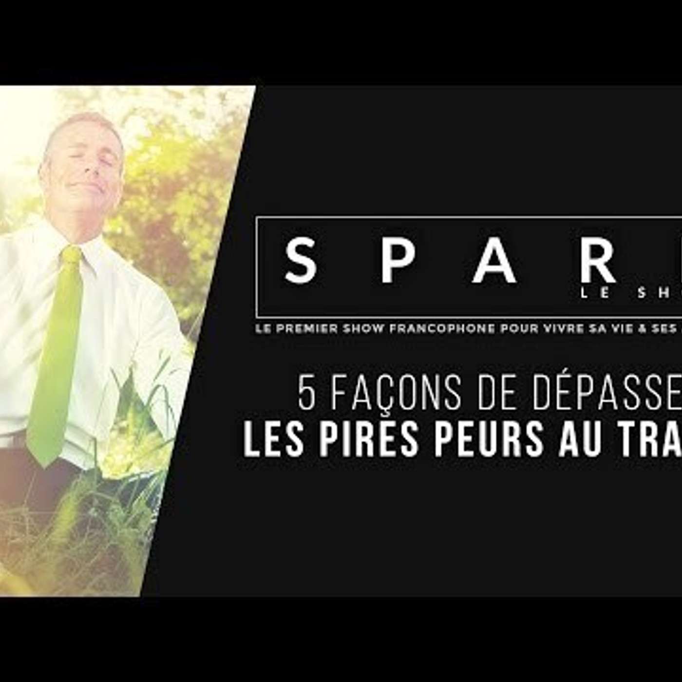 SPARK LE SHOW: 5 façons de dépasser les pires peurs au travail episode artwork