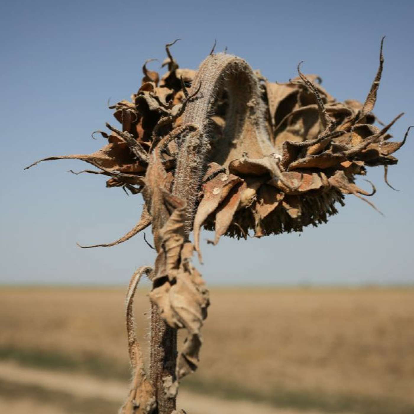 Climate Change With Brian Toon And Kevin Trenberth