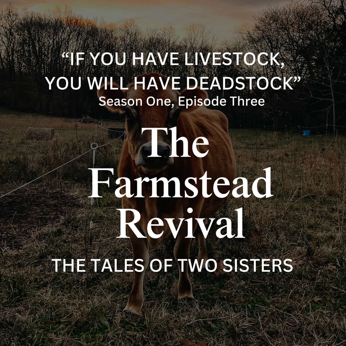 If You Have Livestock, You Will Have Deadstock | Jan 8, 2025 002 episode artwork