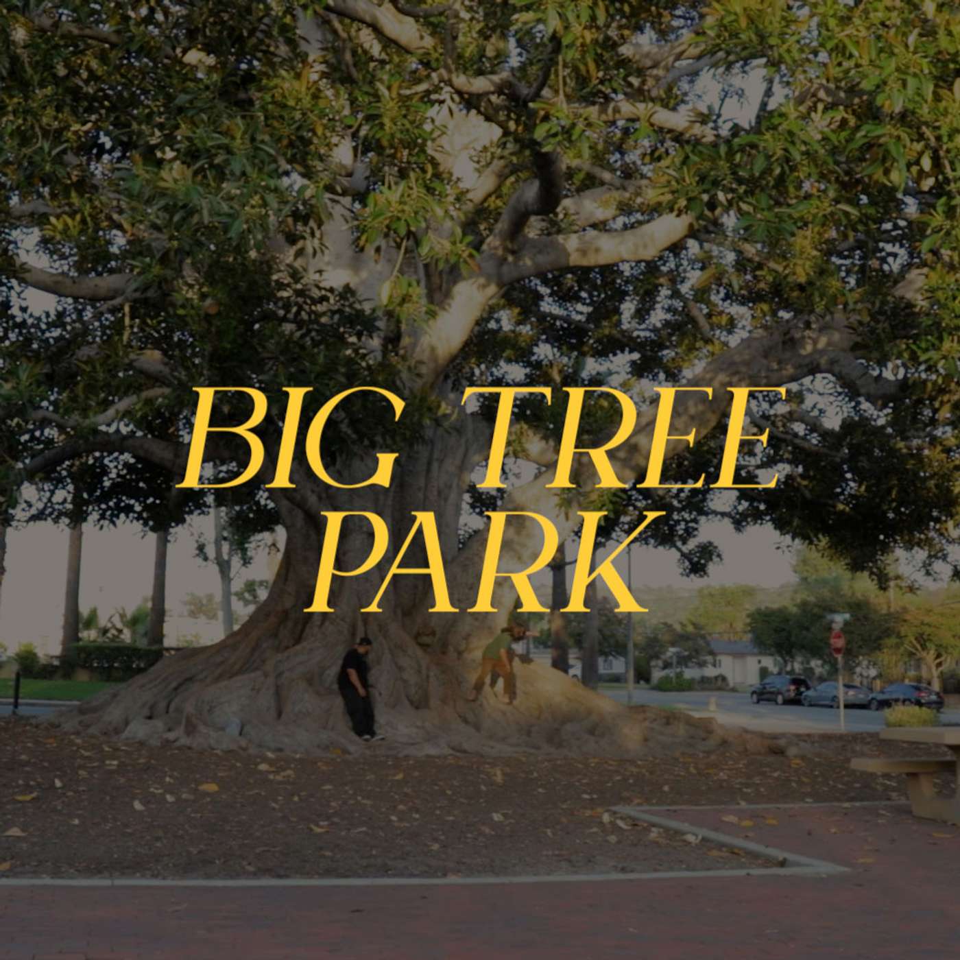 Big Tree Park episode artwork