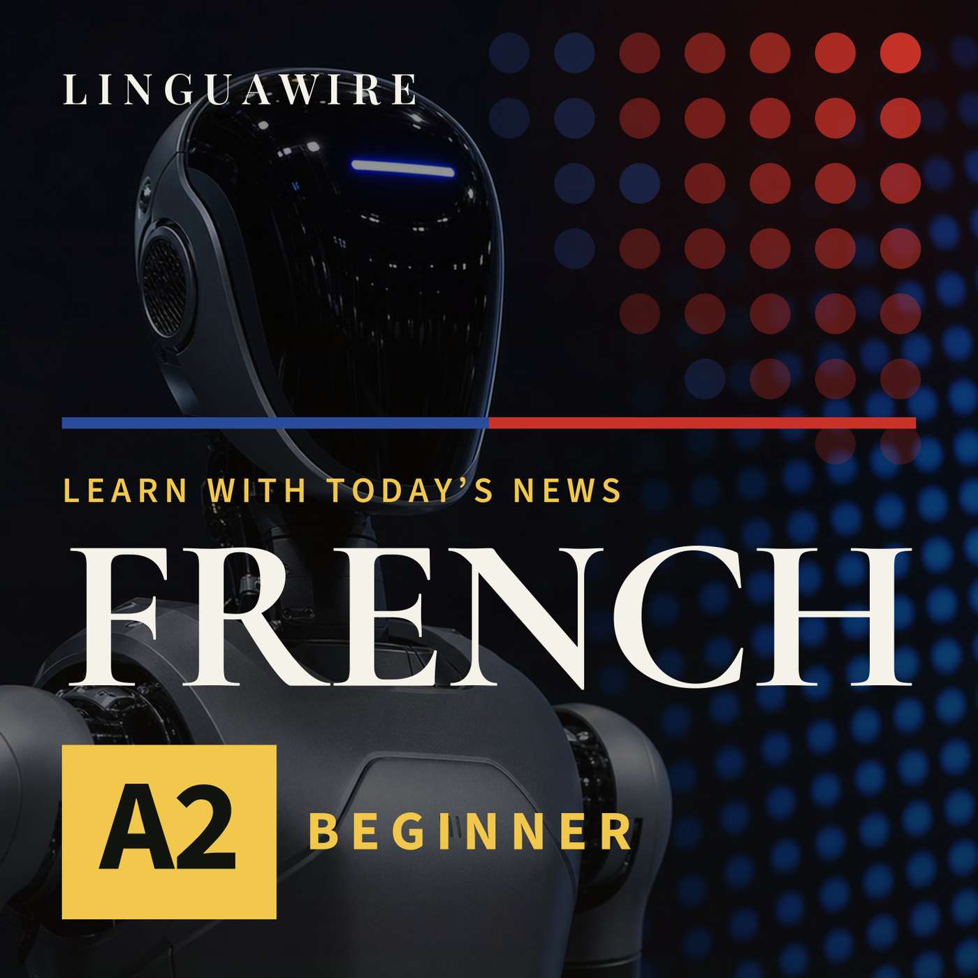 A2 French News | Unitree Shares Jump Over 600% on Market Debut