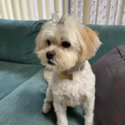 image of podcast supporter