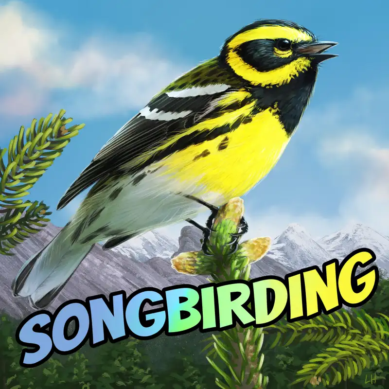 Songbirding