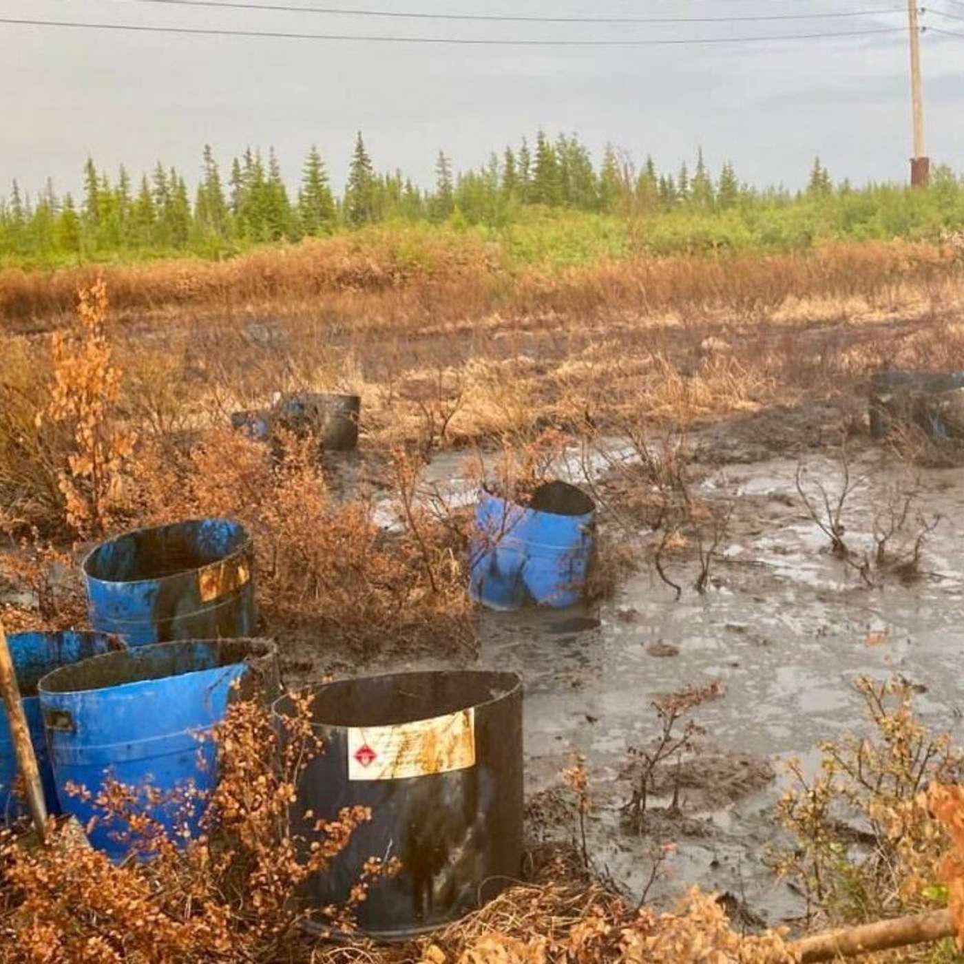 Около тысячи тонн нефти могло попасть в реку в Коми; нефтегазовая компания пыталась скрыть факт ЧП