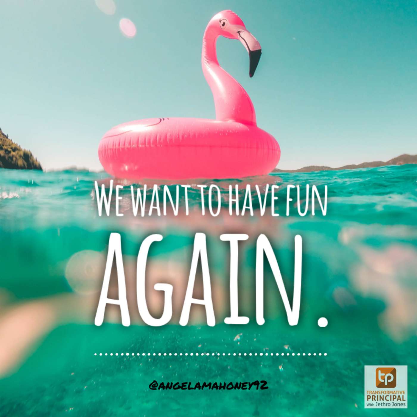 Transformative Principal