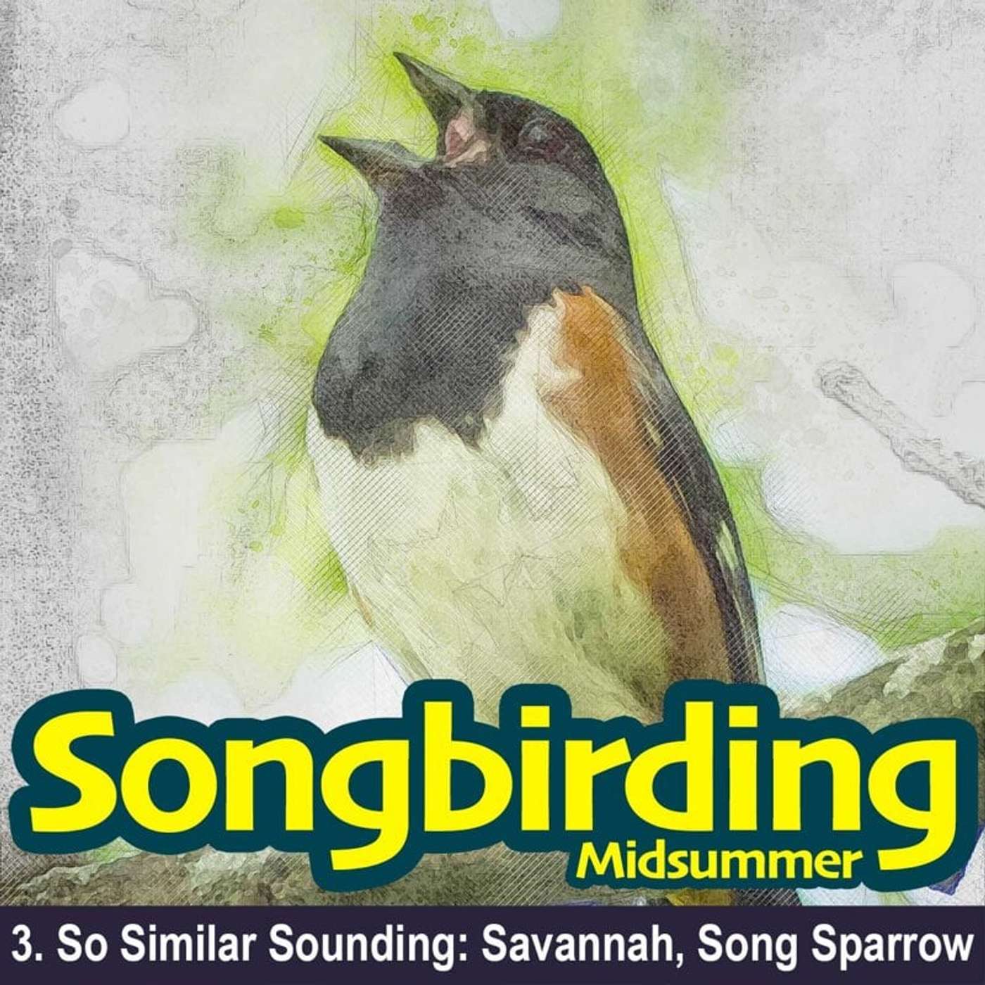 Songbirding