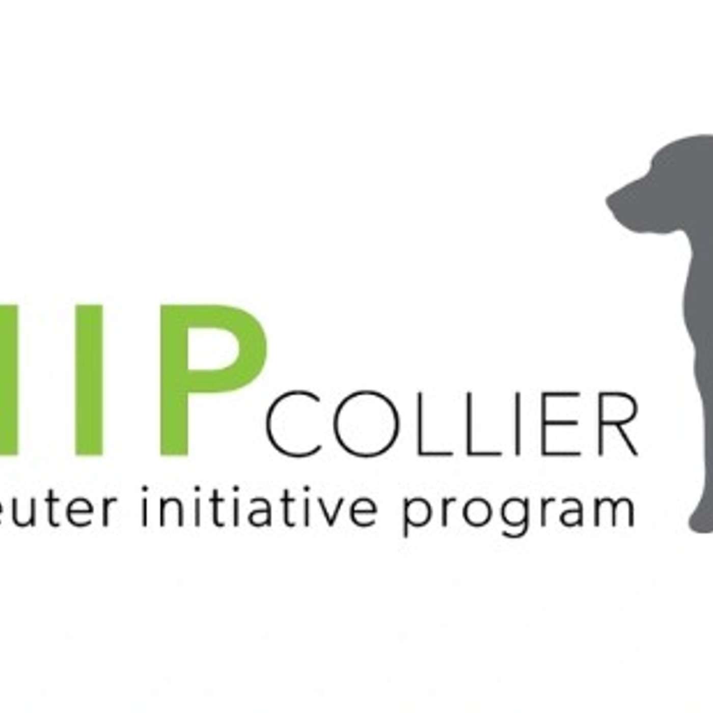 The SNIP Collier Paw-dcast - Episode 1: Mr. Wobbles and Wheels episode artwork