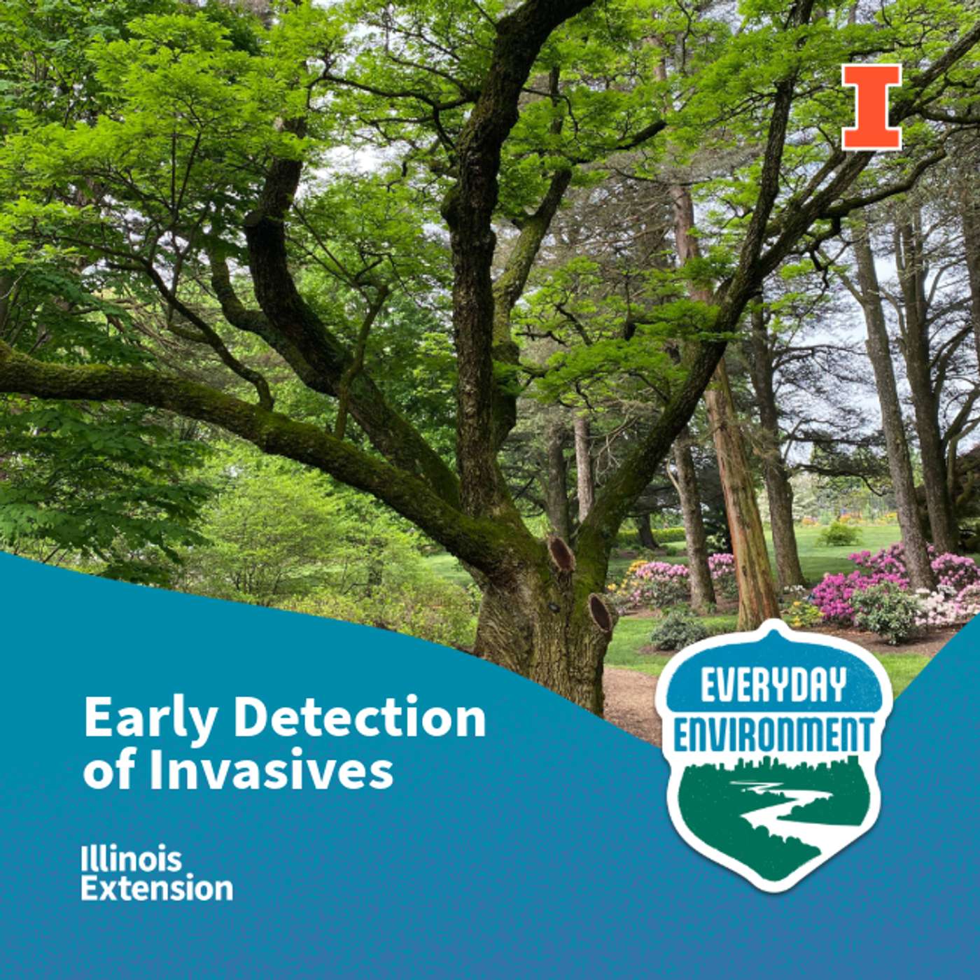 Early detection in public gardens with Michelle Beloskur