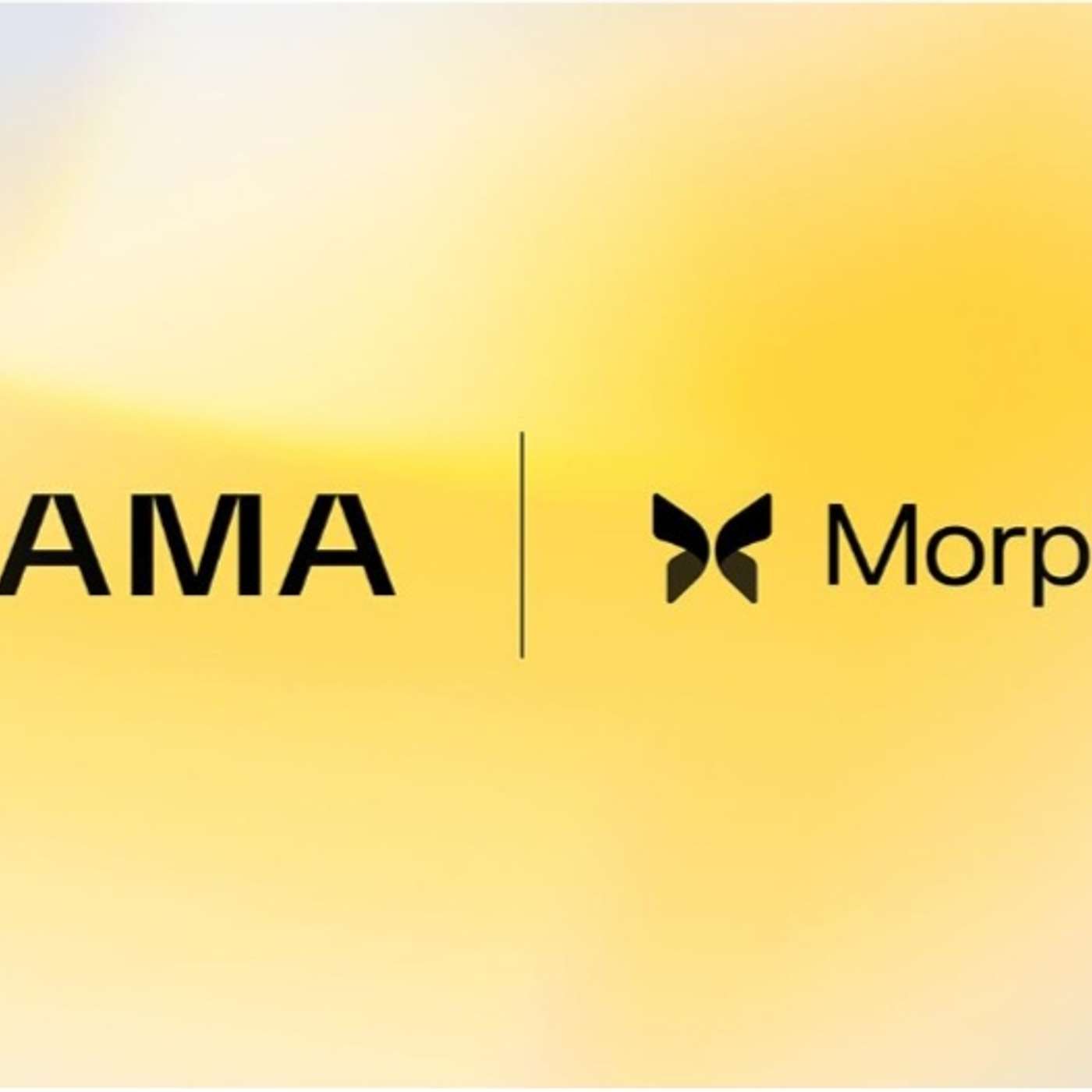 Zama Launches USDC Confidential Lending in Partnership with Morpho and Steakhouse Financial