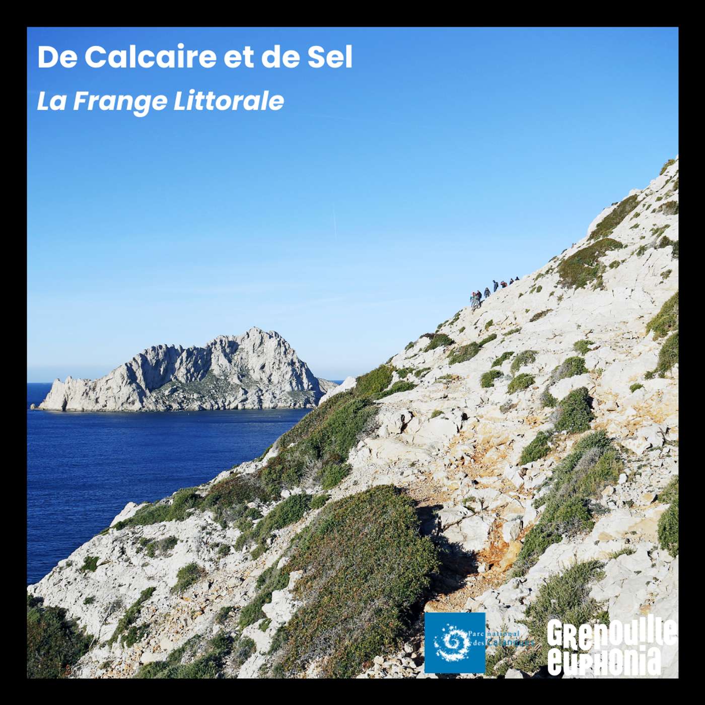 De Calcaire et De Sel | La frange littorale