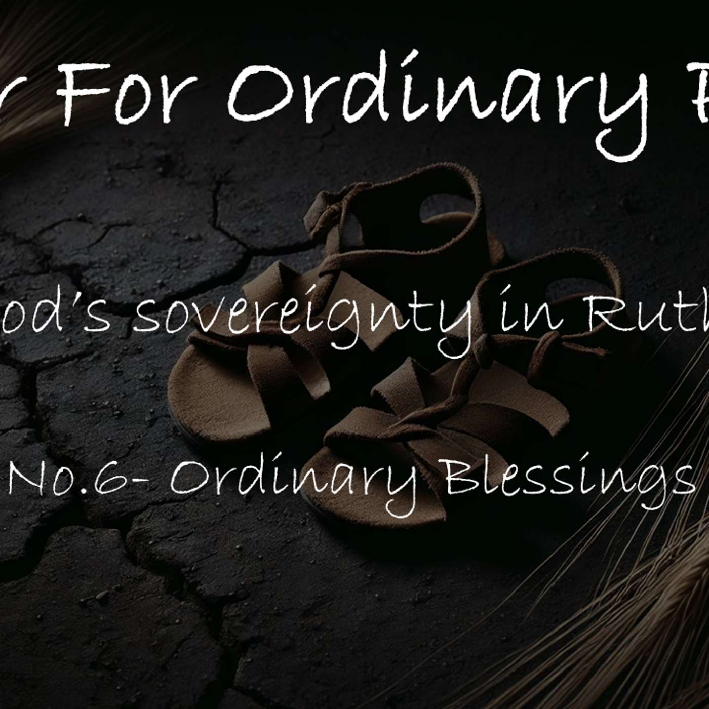 Ruth No.6- Ordinary Blessings