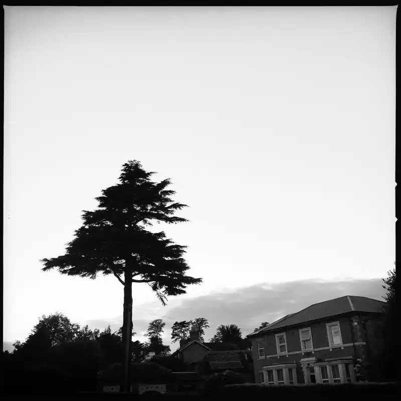 stream of consciousness capture while out on a stroll 