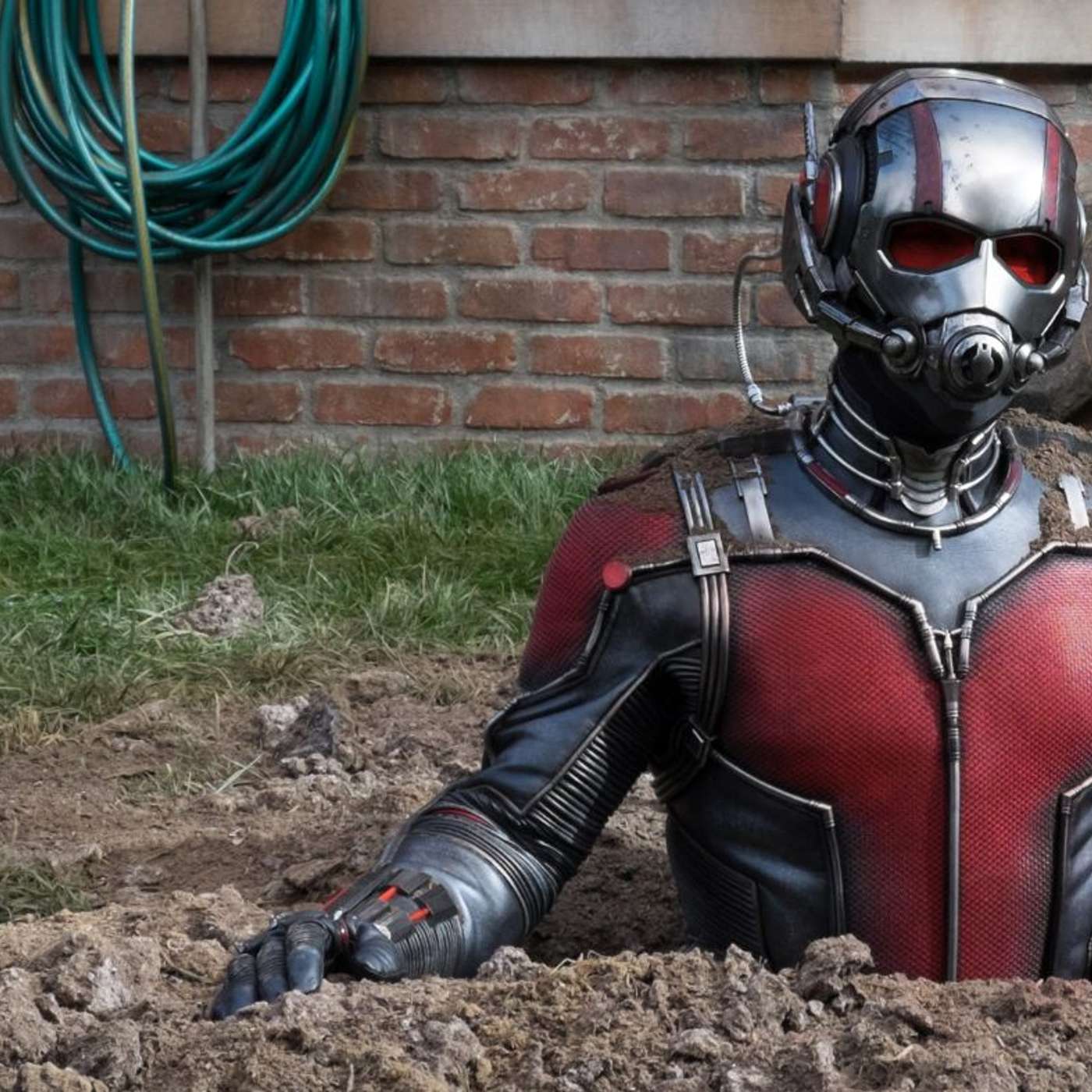 All of the Ant Man Movies in Order