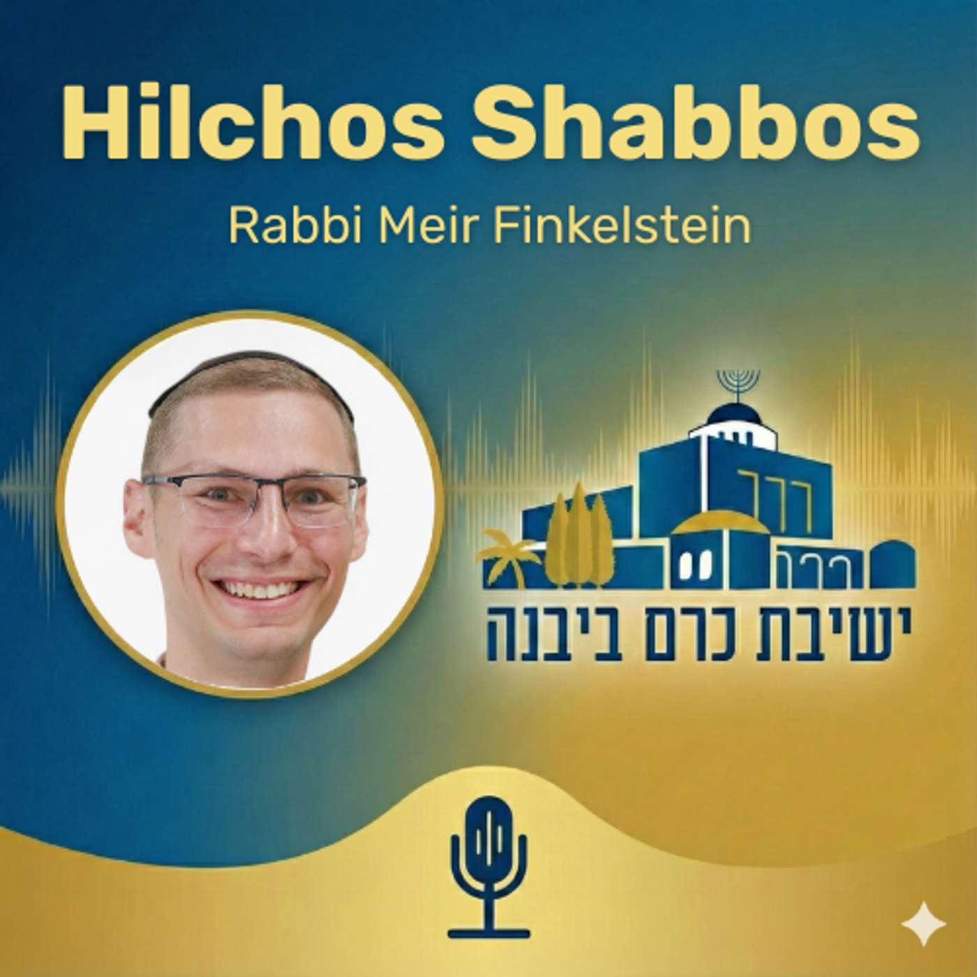 Hilchos Shabbos | Rabbi Meir Finkelstein (Yeshivat Kerem B'Yavneh)