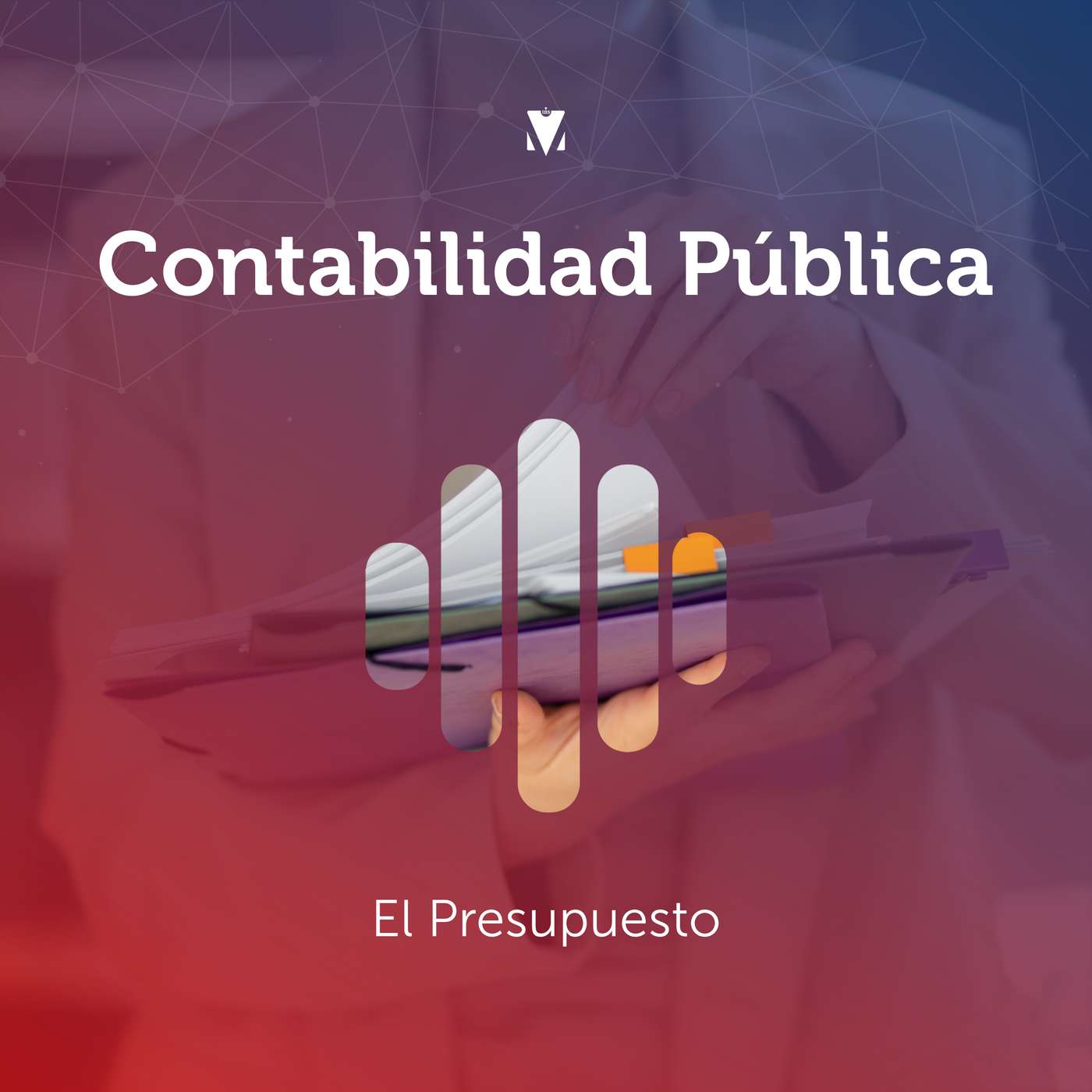 1 - CONTABILIDAD PÚBLICA: El Presupuesto