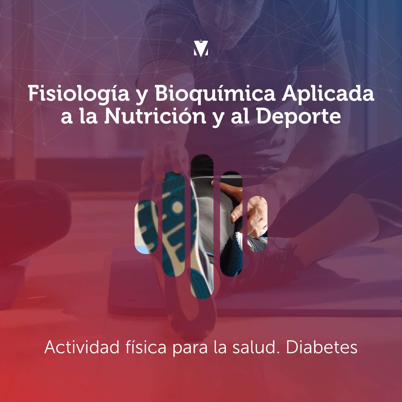 6 - FISIOLOGÍA Y BIOQUÍMICA APLICADA A LA NUTRICIÓN Y AL DEPORTE: Actividad física para la salud. Diabetes episode artwork