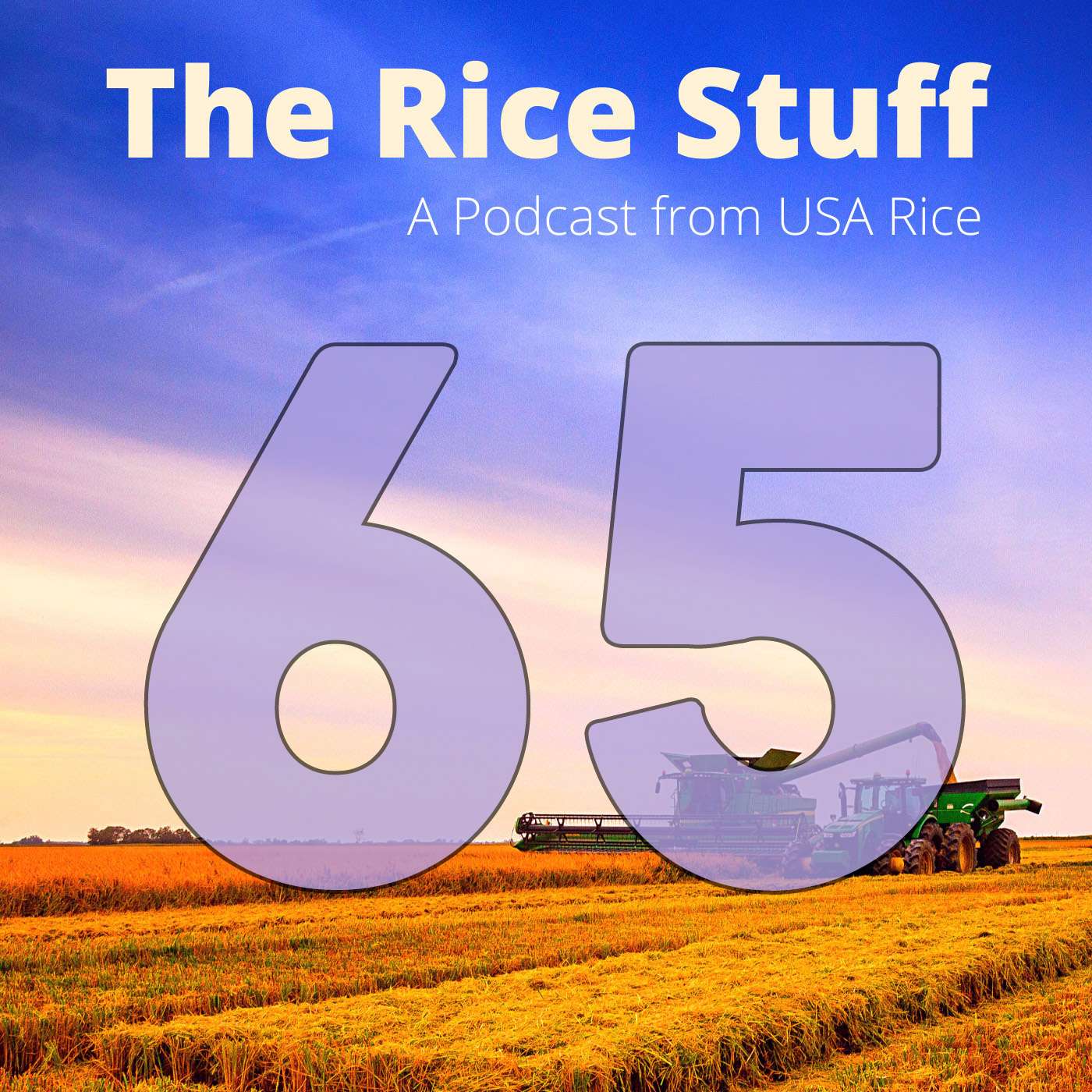 The Rice Stuff