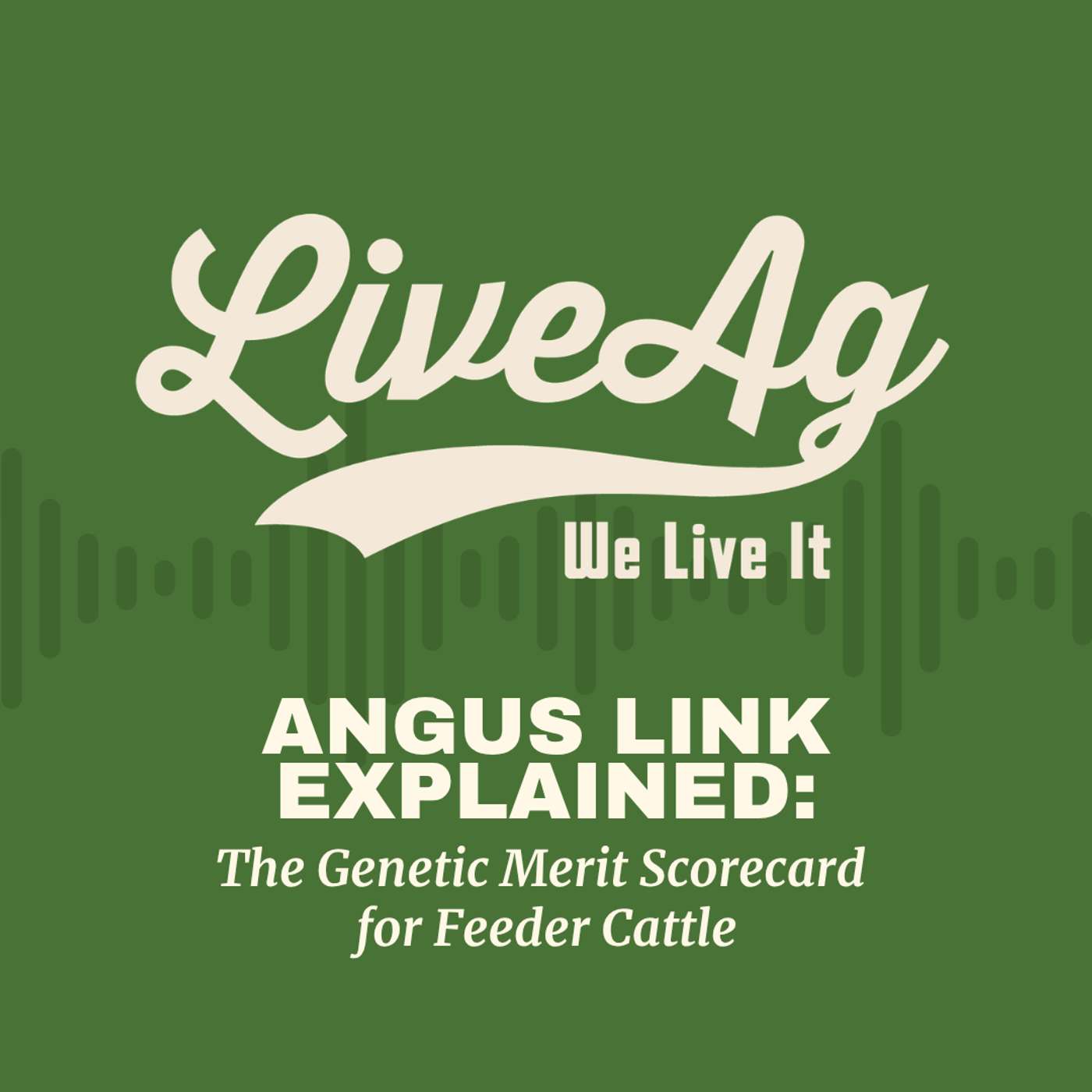 AngusLink Explained: The Genetic Merit Scorecard for Feeder Cattle episode artwork