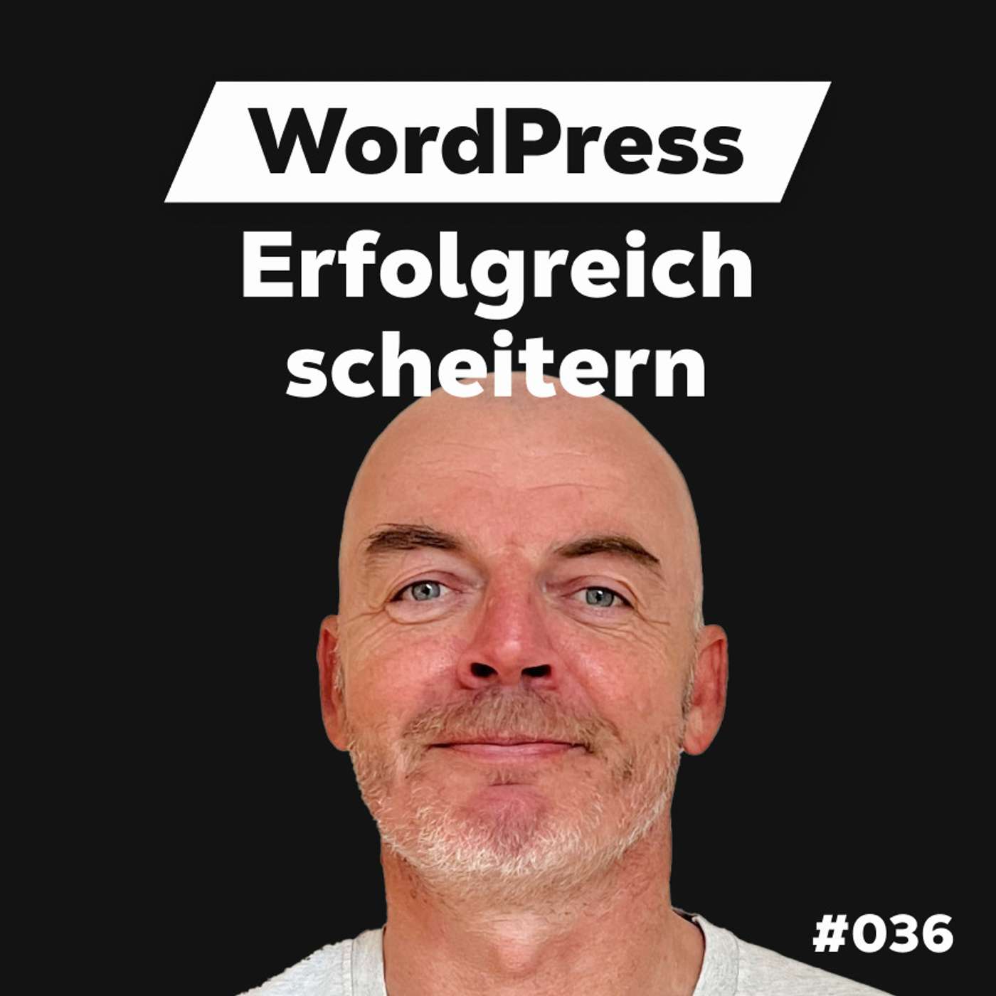 Die Dominik Liss Show (WordPress & Business Talks)