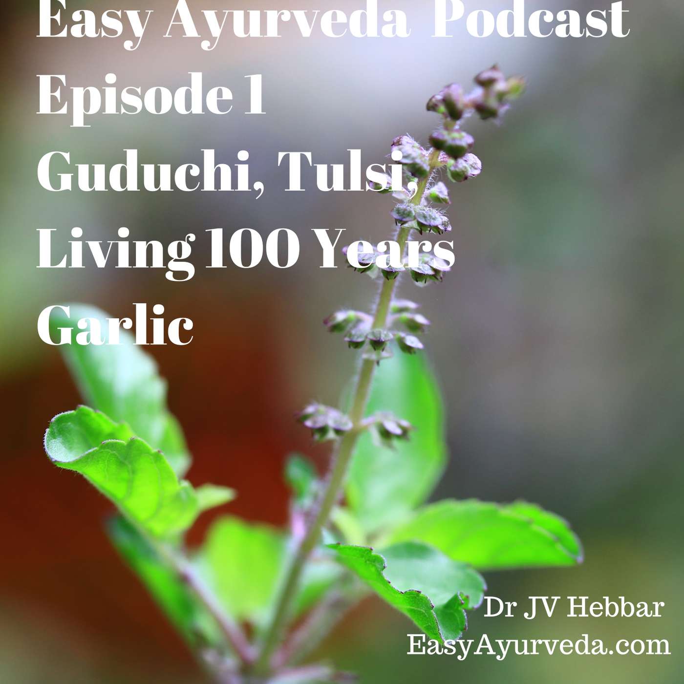 Gurubodha 1 : Guduchi - Liver Damage Controversy | Tulsi - Mercury | Living 100 Years | Garlic - Dr MB Gururaja, Dr JV Hebbar episode artwork
