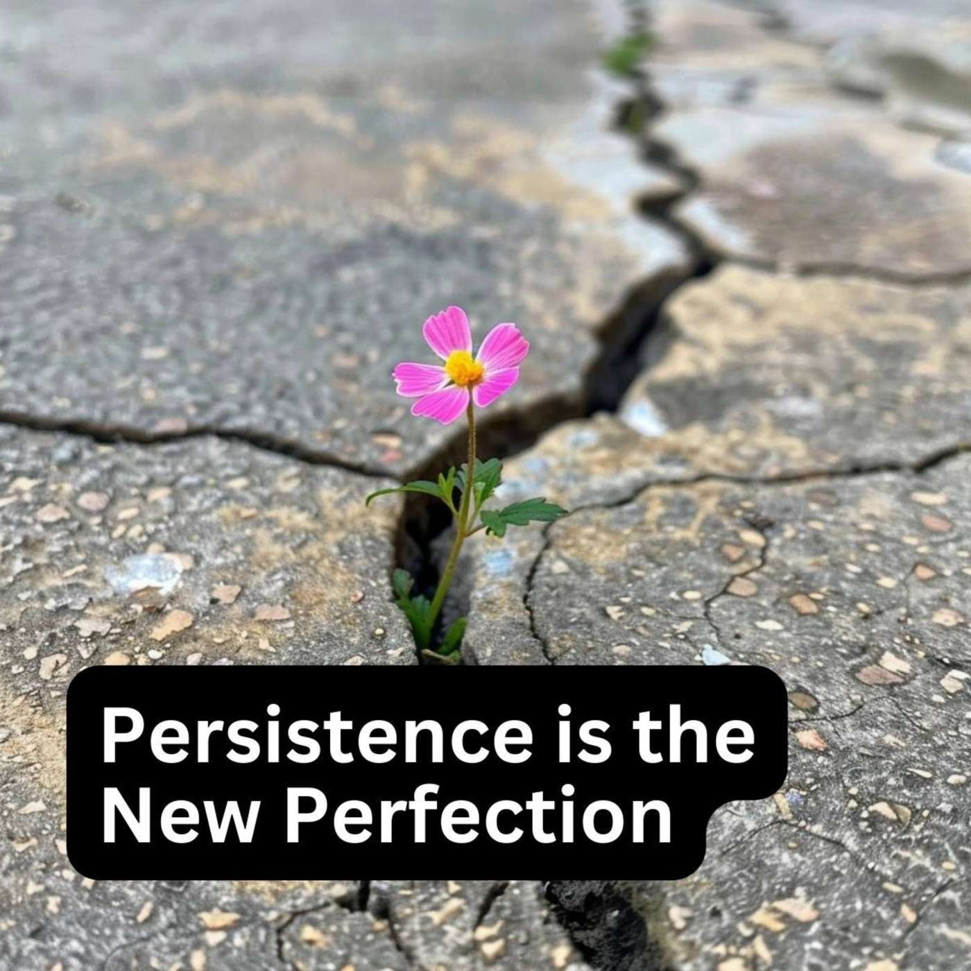 Day 204 - Persistence is the New Perfection episode artwork