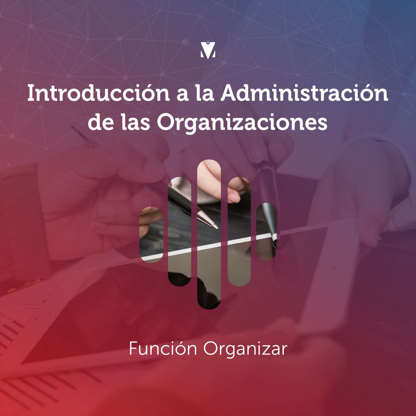 7 - INTRODUCCIÓN A LA ADMINISTRACIÓN DE LAS ORGANIZACIONES: Función Organizar episode artwork