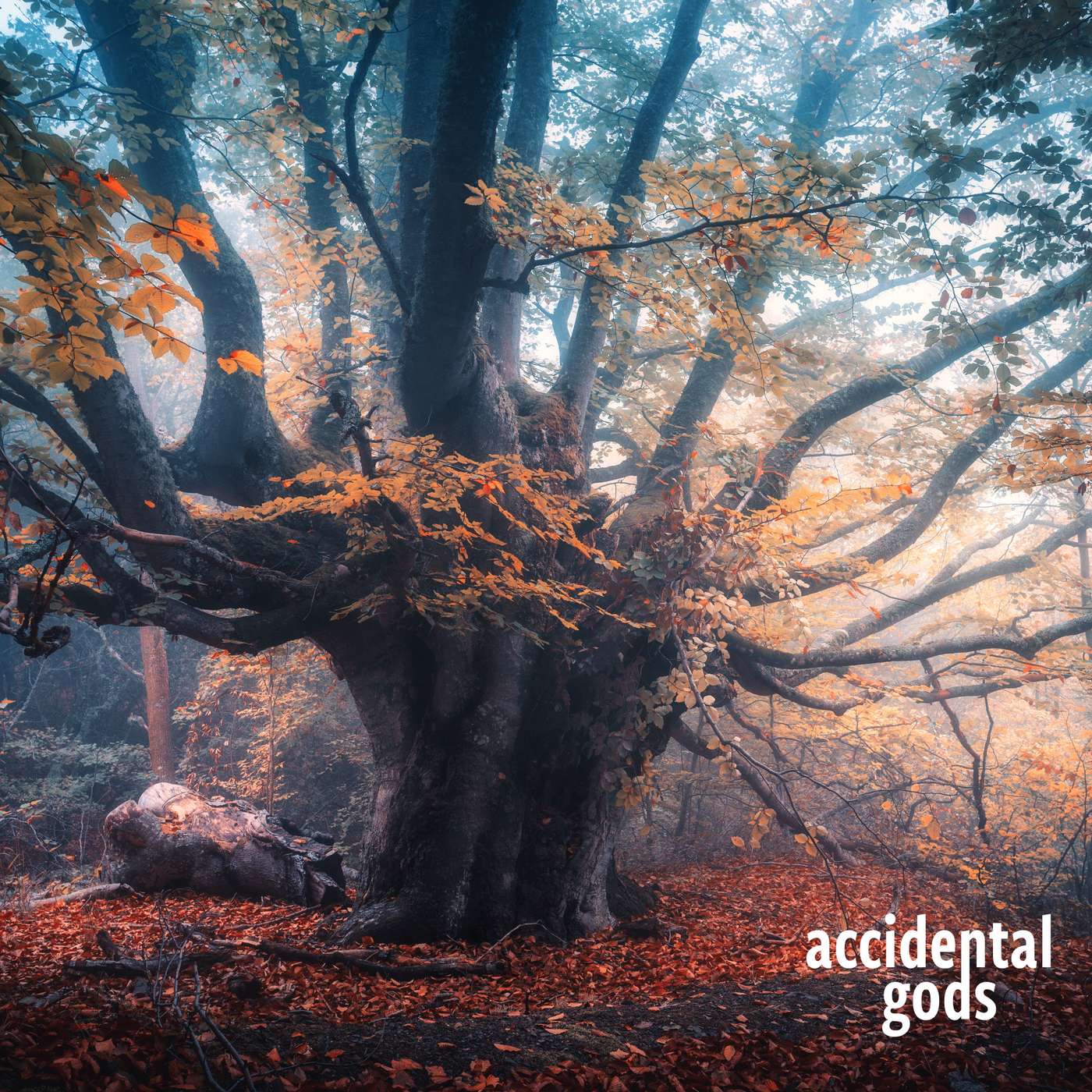 Thresholds of Being: Connecting to the webs of land, life and death with Dr Sharon Blackie