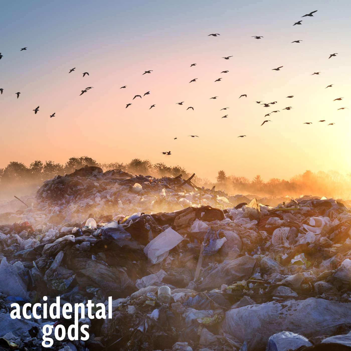 A Green New Deal that Works for People and Planet with Max Ajl