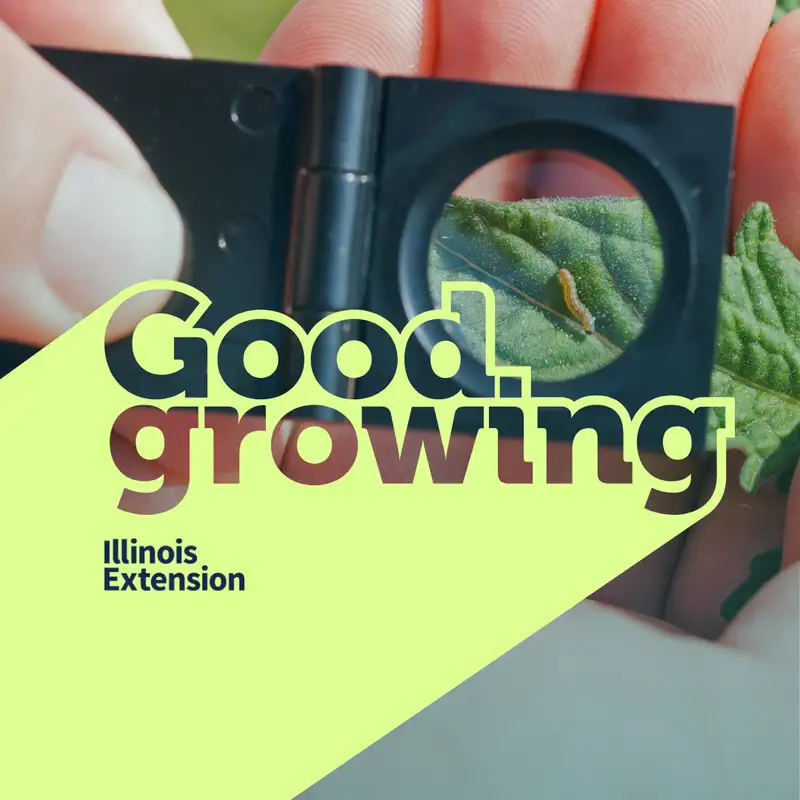 Ep. 208 IPM: Techniques, Tools, and Tips for a Healthier Garden | #GoodGrowing