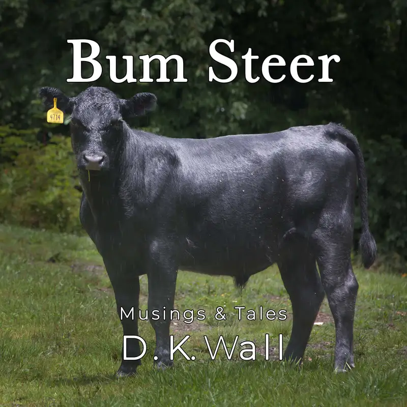 Bum Steer