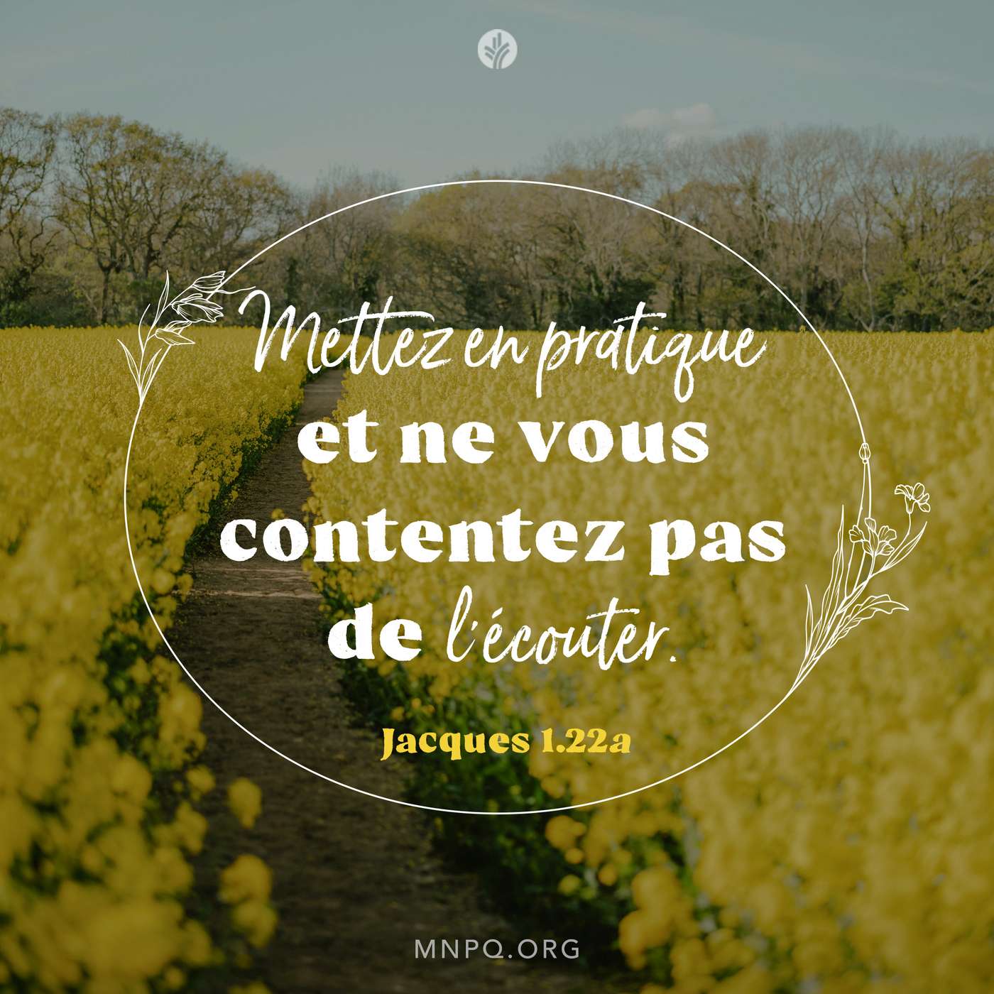 Mettre la Parole en pratique