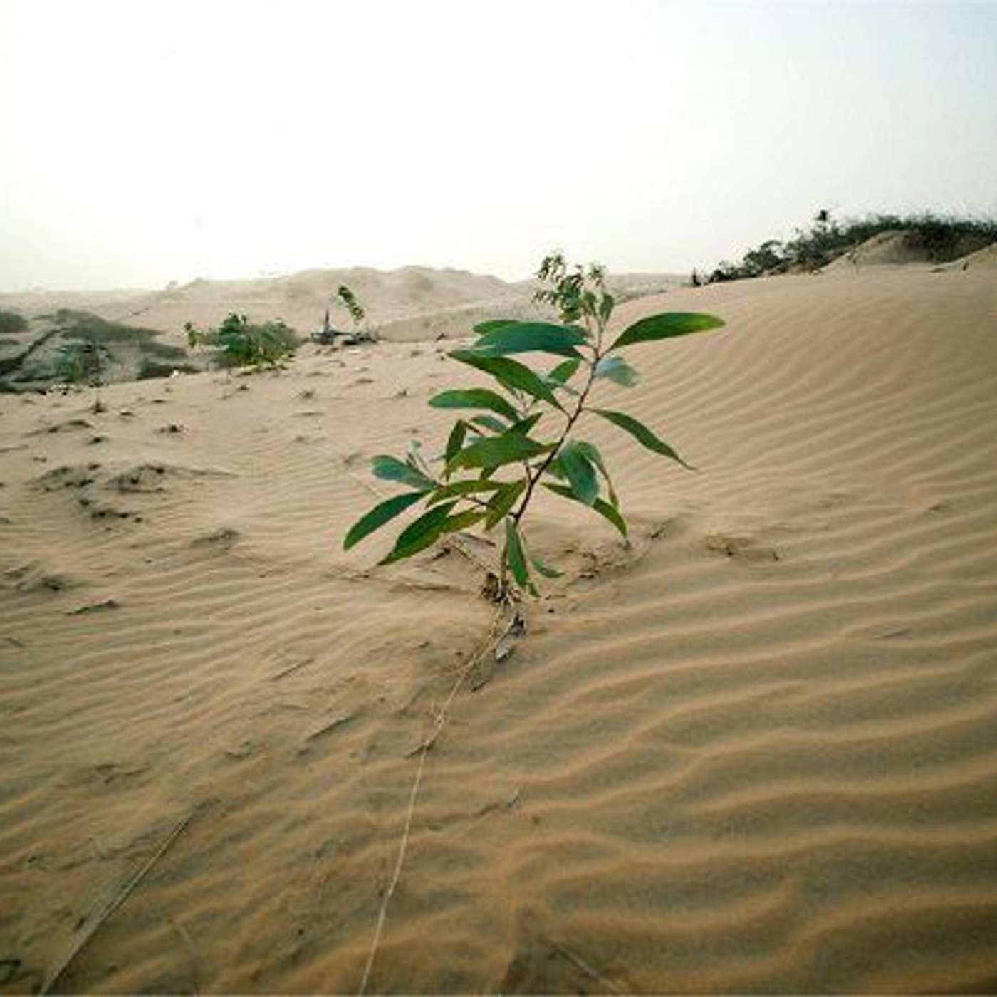 La Grande Illusion I Jeunesse