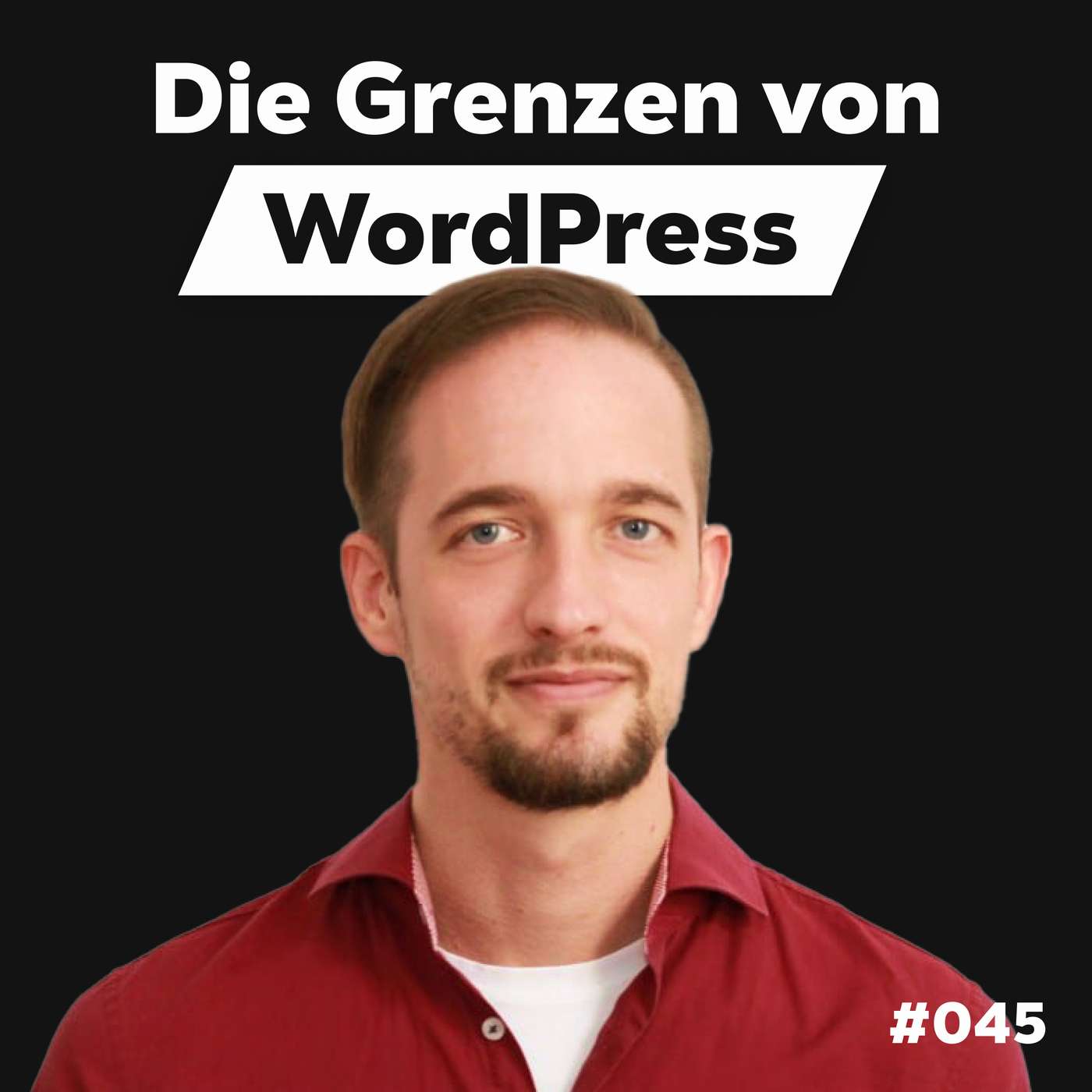 Die Dominik Liss Show (WordPress & Business Talks)