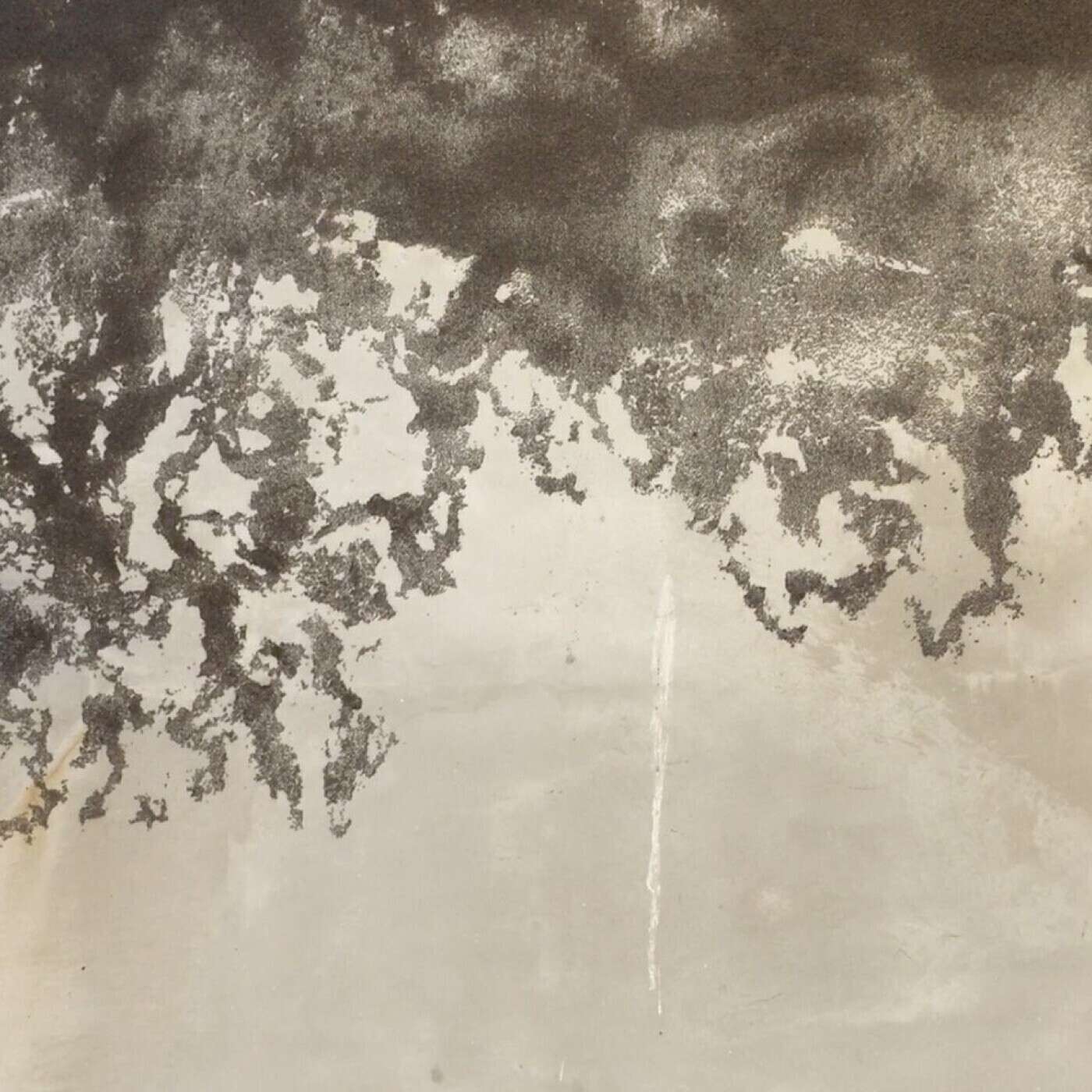 Sixième Plateau - Le FRAC et Radio Grenouille