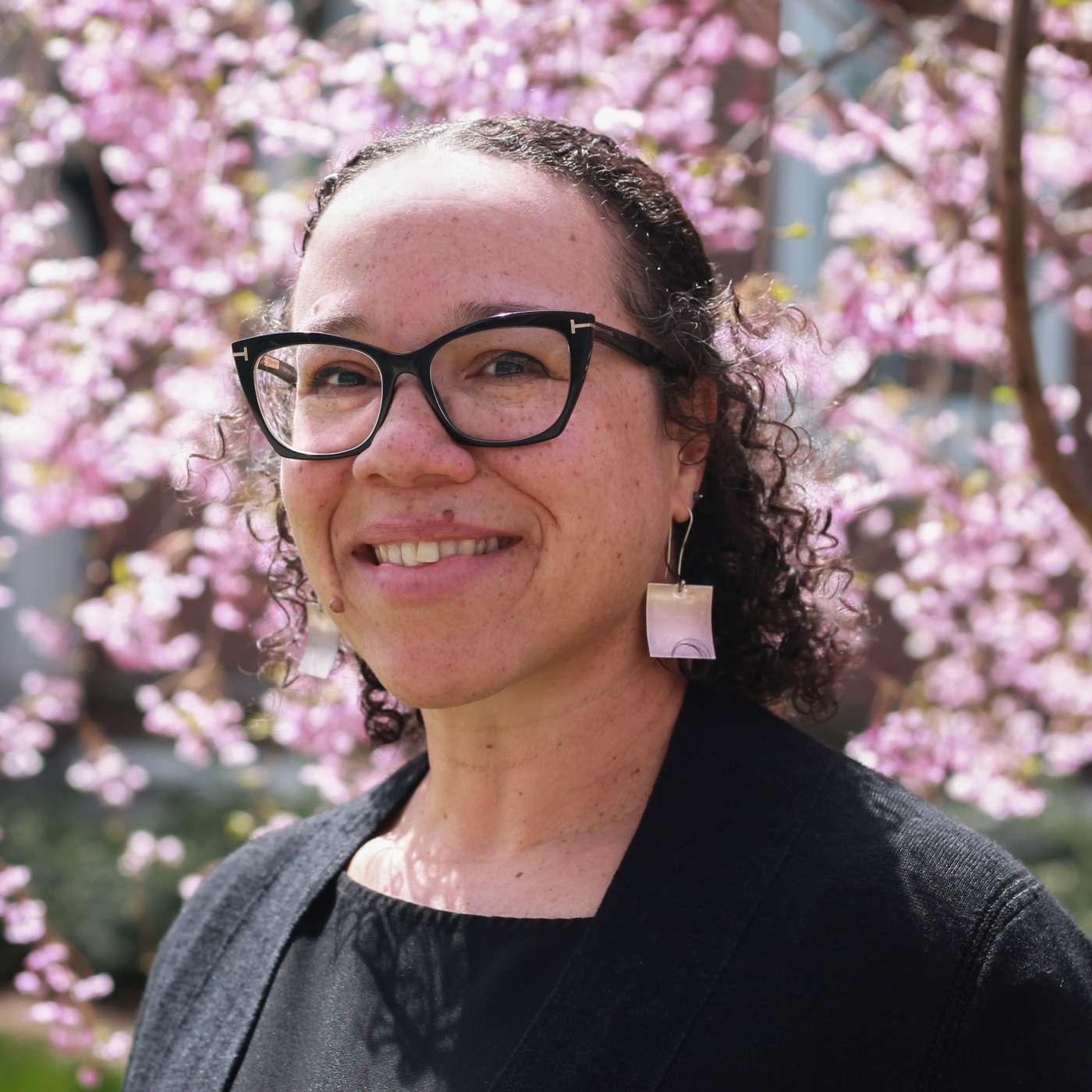 The Black Studies Podcast