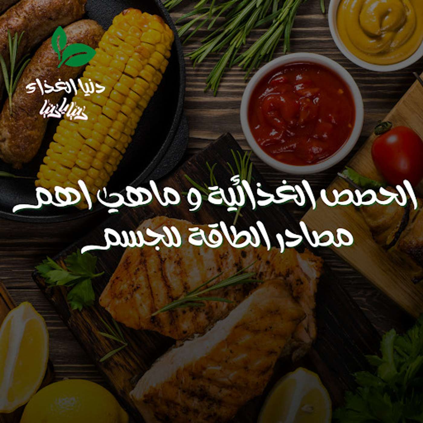 الحصص الغذائية و ماهي اهم مصادر الطاقة للجسم