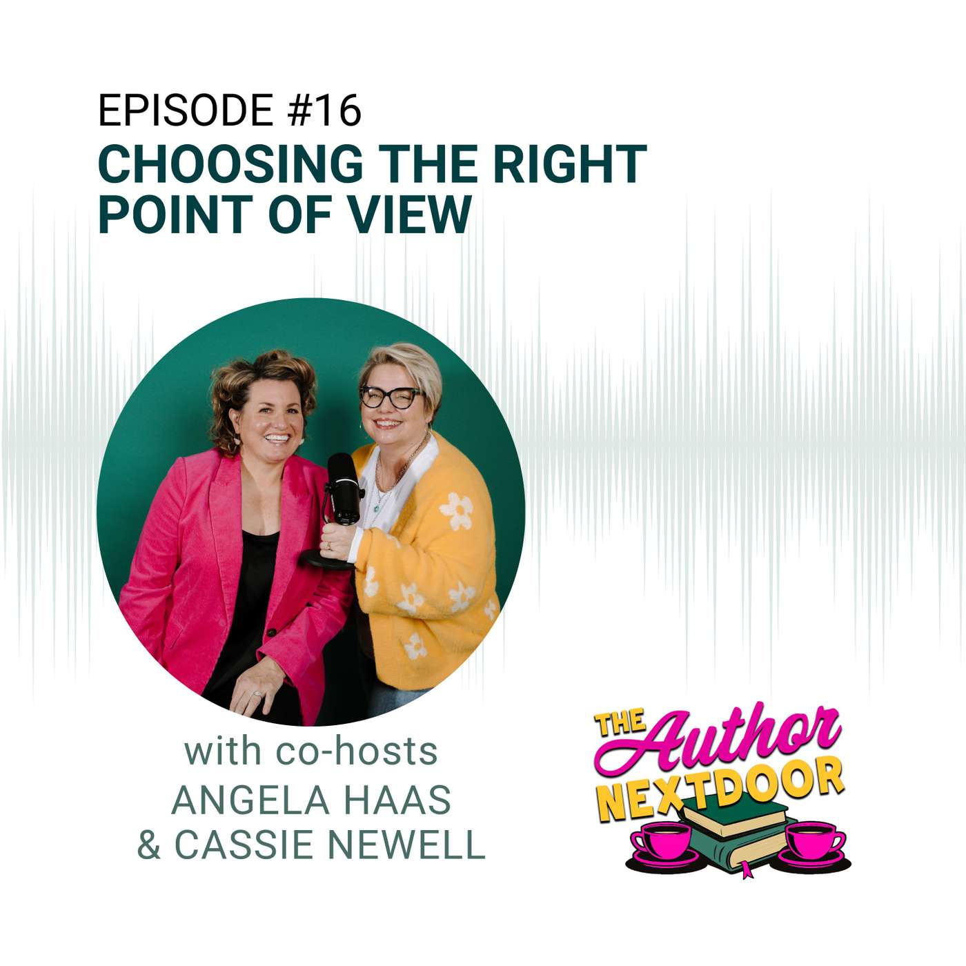 Episode 16: Choosing The Right Point of View episode artwork