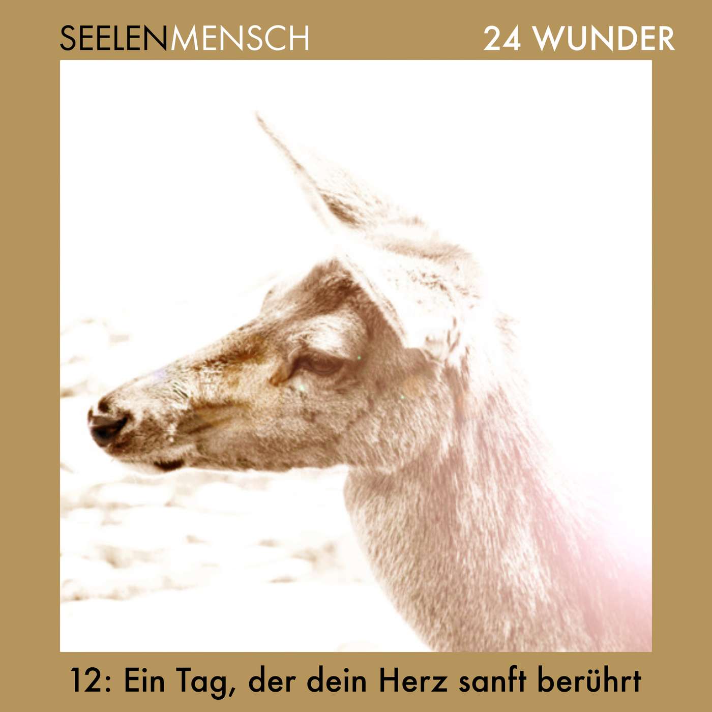 #052 12. Dezember - Ein Tag, der dein Herz sanft berührt #052 12. Dezember - Ein Tag, der dein Herz sanft berührt