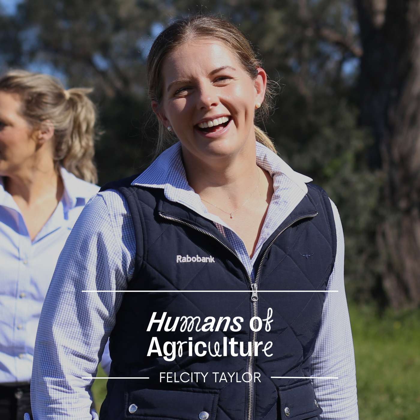 Mind boggling scale: what a trip to Brazil added to Felicity Taylor's bank of cotton knowledge