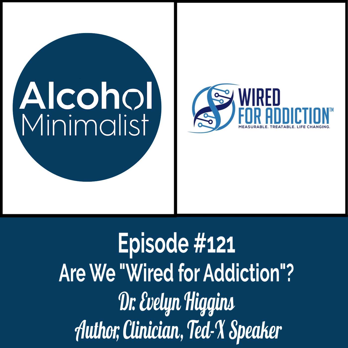 Are We "Wired for Addiction"? with Dr. Evelyn Higgins episode artwork