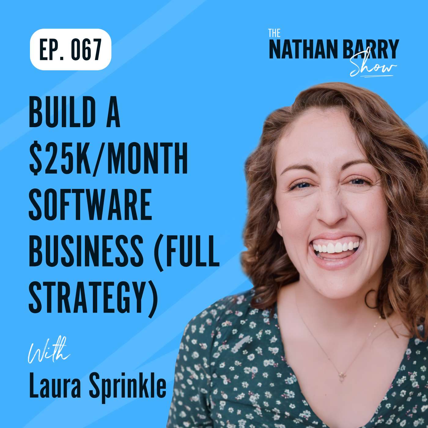 Build a $25K/Month Software Business (Full Strategy) | 067