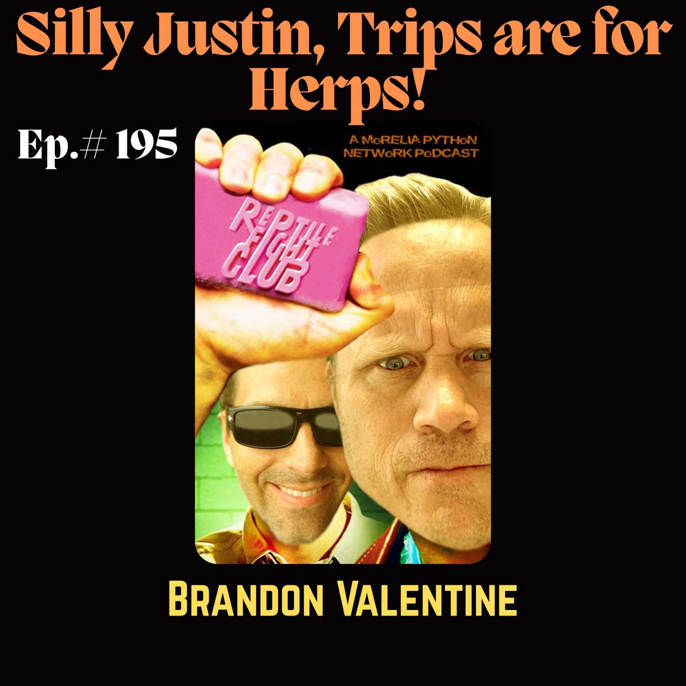 Silly Justin, Trips are for Herps! w/ Brandon Valentine episode artwork
