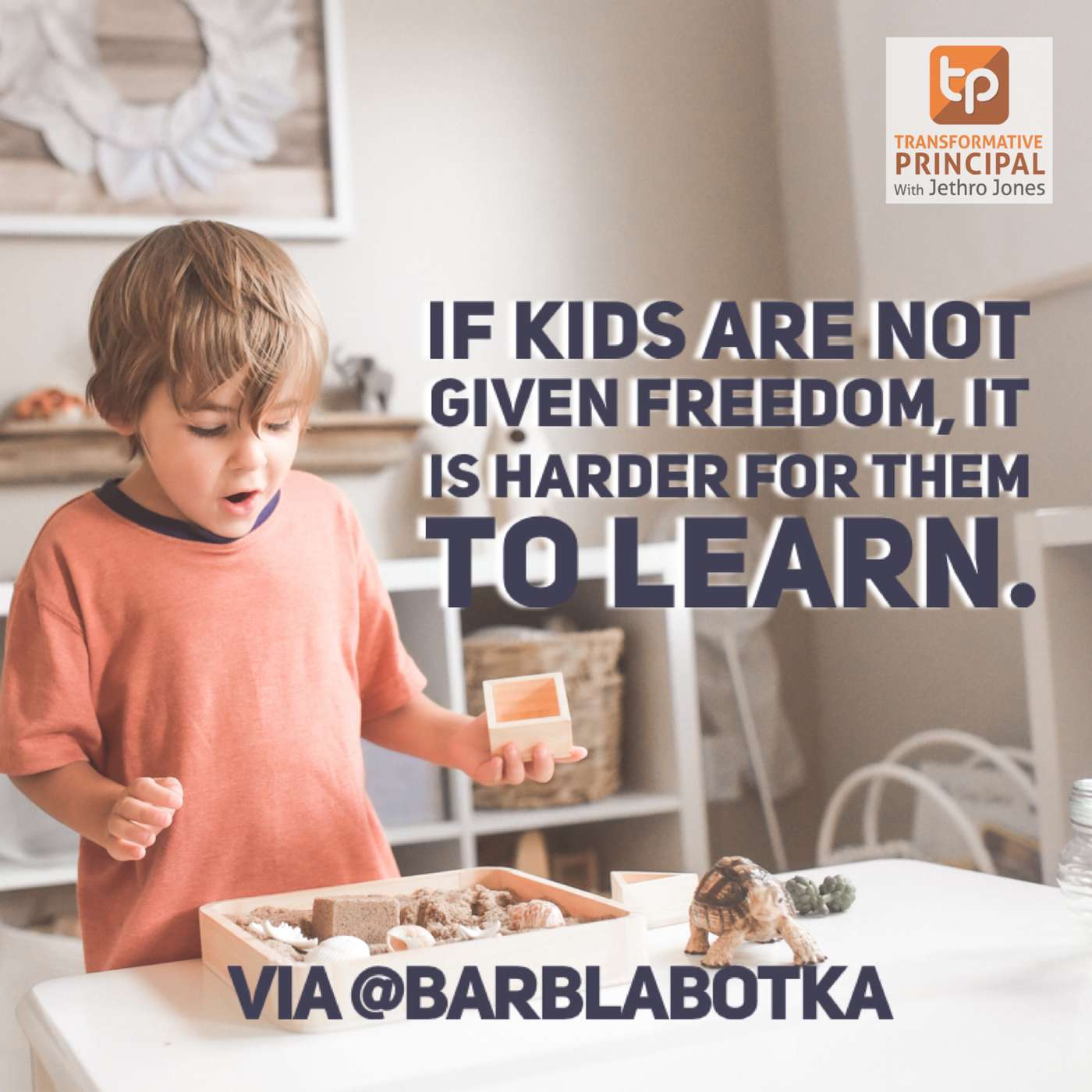 Transformative Principal