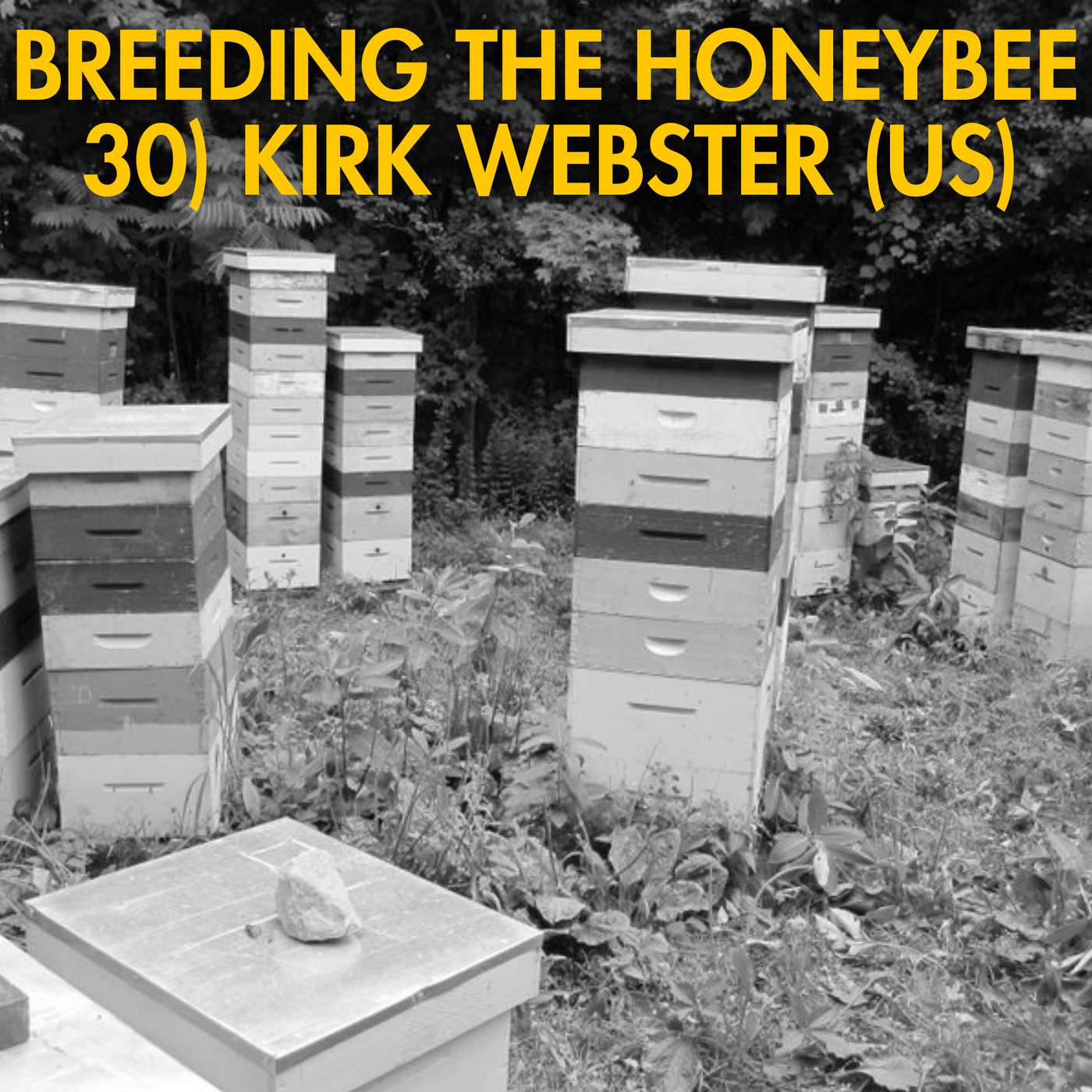 30) Kirk Webster (US) episode artwork