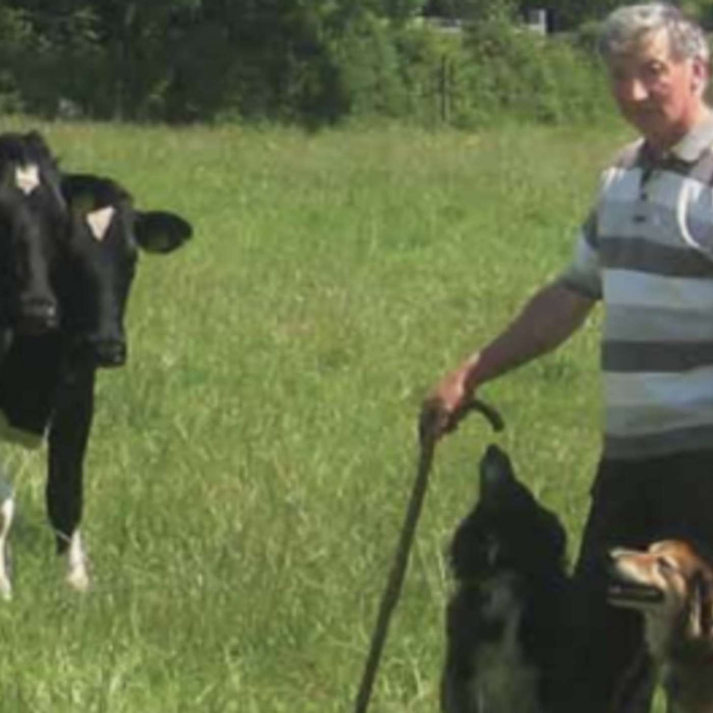 Are you On Feirm Ground? Maintaining resilience in an ever changing dairy sector