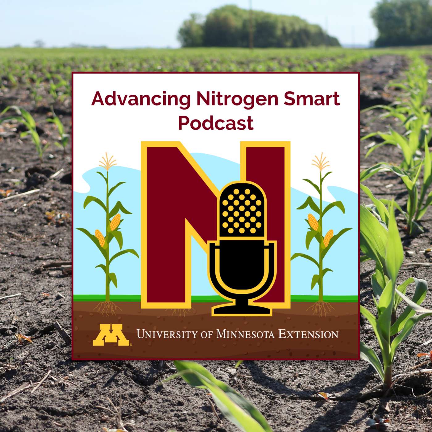 Accounting for soil and weather conditions: Methods and tools to help fine-tune your N Accounting for soil and weather conditions: Methods and tools to help fine-tune your N