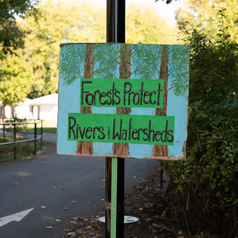 Save Our Forests Comox Valley rallies in Courtenay to protect B.C.’s old-growth forests